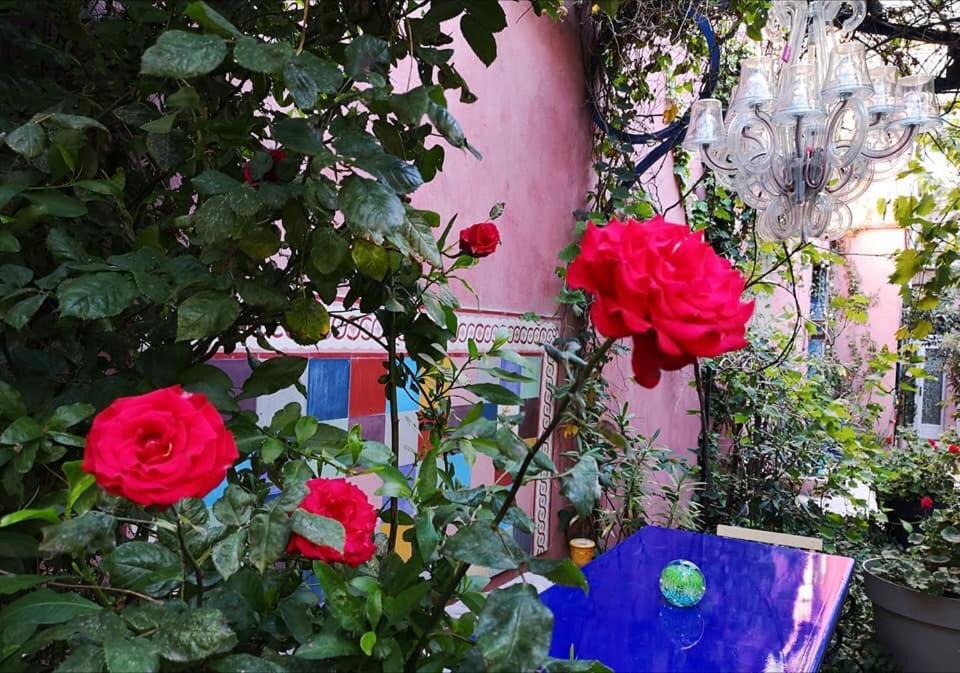 Jardin Vieux Port Panier Hotel Marseille Bagian luar foto